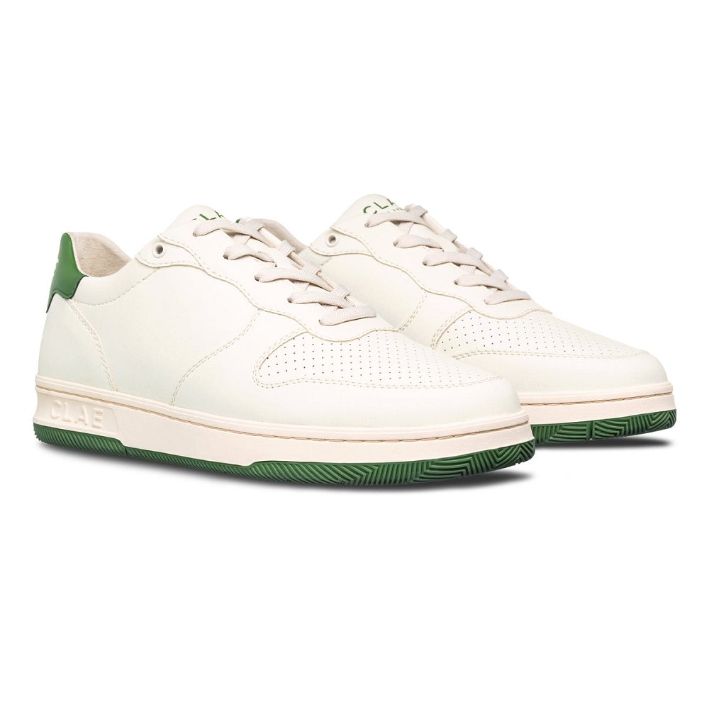 CLAE MALONE APPLE Shoes Mens USA612-B84 In Off White